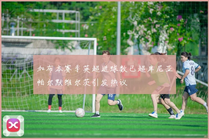 加布本赛季英超进球数已超库尼亚帕尔默维尔茨引发热议