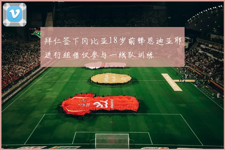 拜仁签下冈比亚18岁前锋恩迪亚耶进行租借仅参与一线队训练