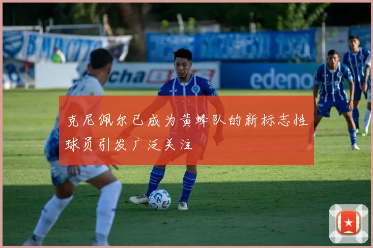 克尼佩尔已成为黄蜂队的新标志性球员引发广泛关注