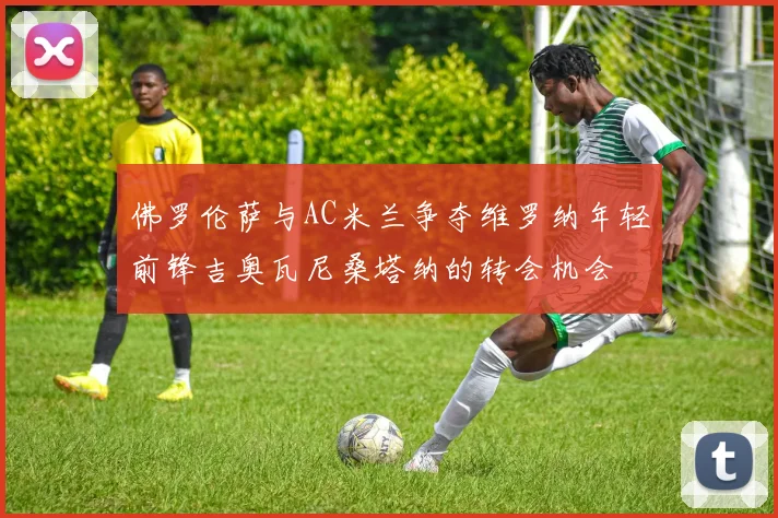 佛罗伦萨与AC米兰争夺维罗纳年轻前锋吉奥瓦尼桑塔纳的转会机会